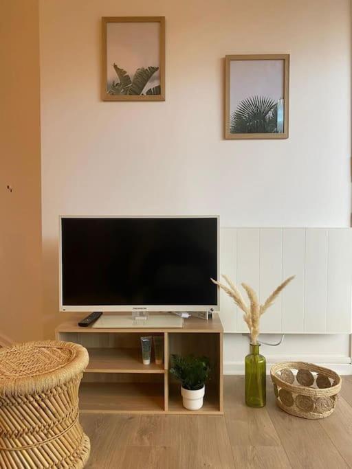 The Jungle Studio, Loggia & Parking Dans Residence Romans-sur-Isère Eksteriør bilde